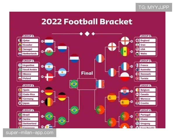 2026世界杯D组最终排名结果预测